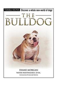 The Bulldog