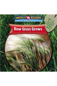 How Grass Grows