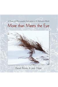 More Than Meets the Eye