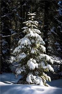 A Little Tree in the Winter Snow and Sunshine Journal