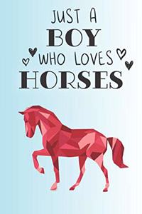 Just A Boy Who Loves Horses