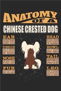 Anatomy Of A Chinese Crested Dog