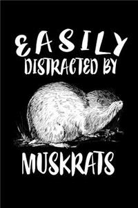 Easily Distracted By Muskrats