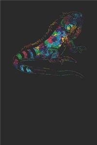Iguana Colors