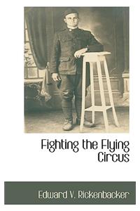 Fighting the Flying Circus