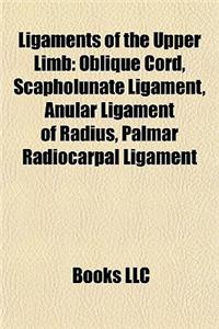 Ligaments of the Upper Limb