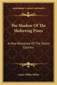 Shadow of the Sheltering Pines