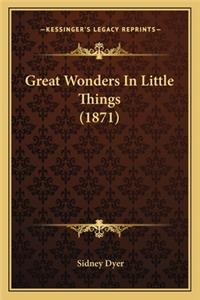 Great Wonders In Little Things (1871)