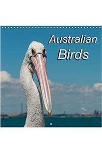 Australian Birds 2018