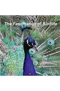 The Fascination of Birdlife 2018