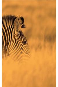 Alive! zebra stripes - Sepia - Photo Art Notebooks (5 x 8 series)