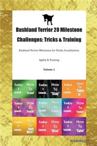 Bushland Terrier 20 Milestone Challenges