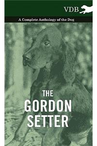 The Gordon Setter - A Complete Anthology of the Dog