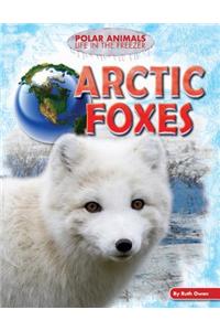 Arctic Foxes