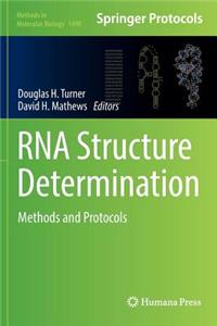 RNA Structure Determination