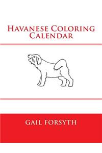 Havanese Coloring Calendar