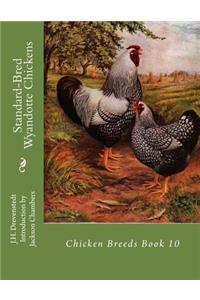 Standard-Bred Wyandotte Chickens