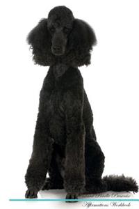 Standard Poodle Affirmations Workbook Standard Poodle Presents