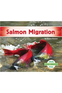 Salmon Migration