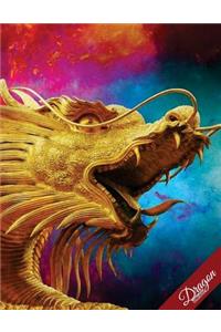 Dragon Notebook Collection
