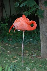 Sleeping Flamingo Bird Journal