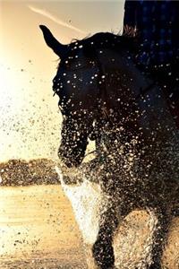 Horseback Riding Journal