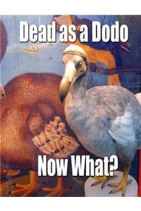 Dead as a Dodo - Now What?