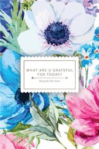 What Are U Grateful for Today?