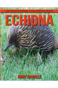 Echidna! An Educational Children's Book about Echidna with Fun Facts & Photos