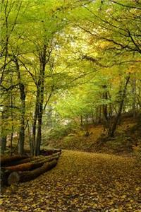 Trail into the Woods in Autumn Journal