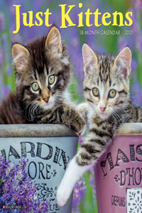 Just Kittens 2021 Wall Calendar