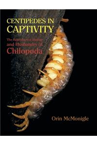 Centipedes in Captivity