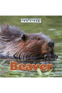 Beaver