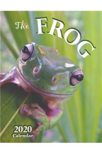 The Frog 2020 Calendar