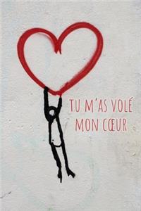 Tu m'as volé mon coeur