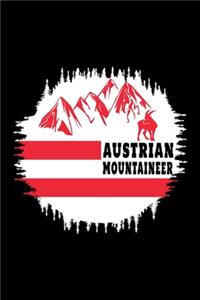 Österreich Flaggen Notizbuch