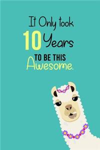 It Only Took 10 Years to be this Awesome
