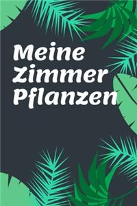 Meine Zimmerpflanzen