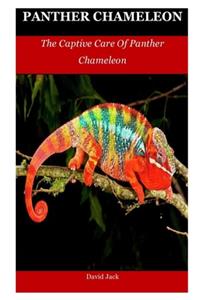 Panther Chameleon