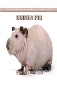 All About Guinea Pig