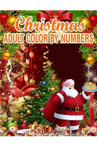 Christmas Adult Color By Numbers