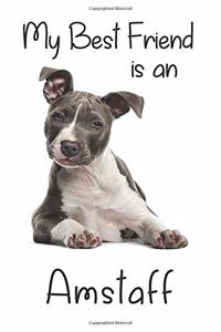My best Friend is an Amstaff