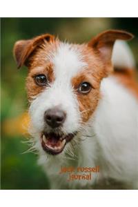 Jack Russell Journal
