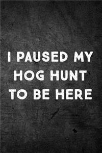 I Paused My Hog Hunt to Be Here
