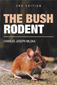 Bush Rodent