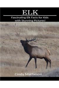 Elk: Fascinating Elk Facts for Kids with Stunning Pictures!