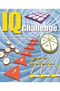IQ Challenge: Over 500 Perplexing Number, Letter Puzzles