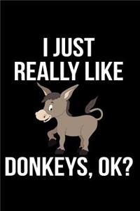 I Just Really Like Donkeys, Ok?