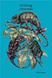 Writing Journal