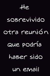 He Sobrevivido Otra Reunión Que Podría Haber Sido Un Email
